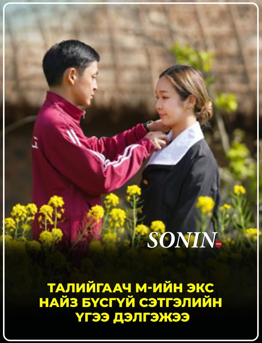 sonin.mn