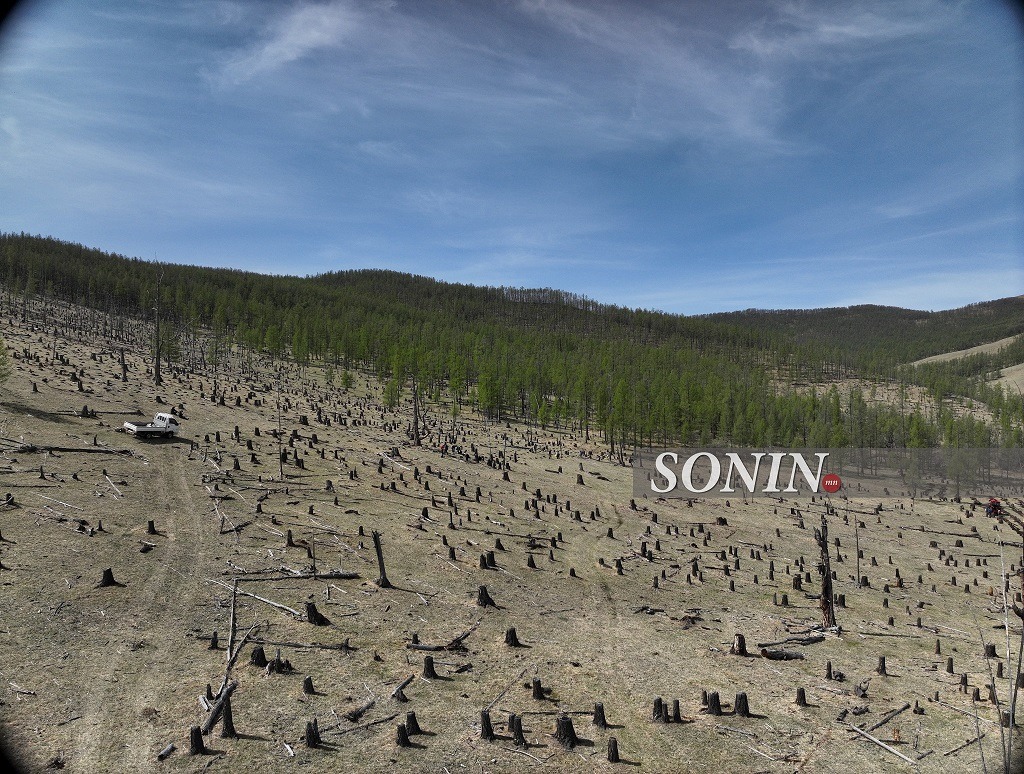 sonin.mn