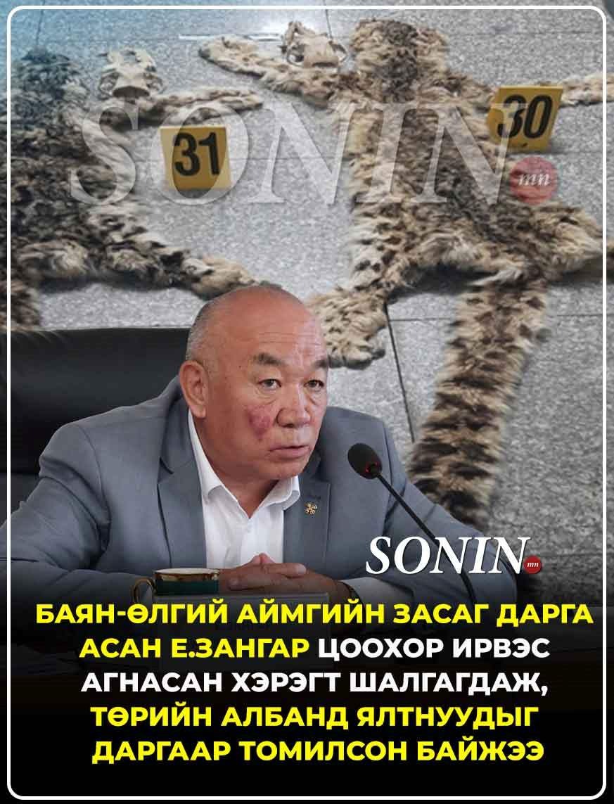 sonin.mn