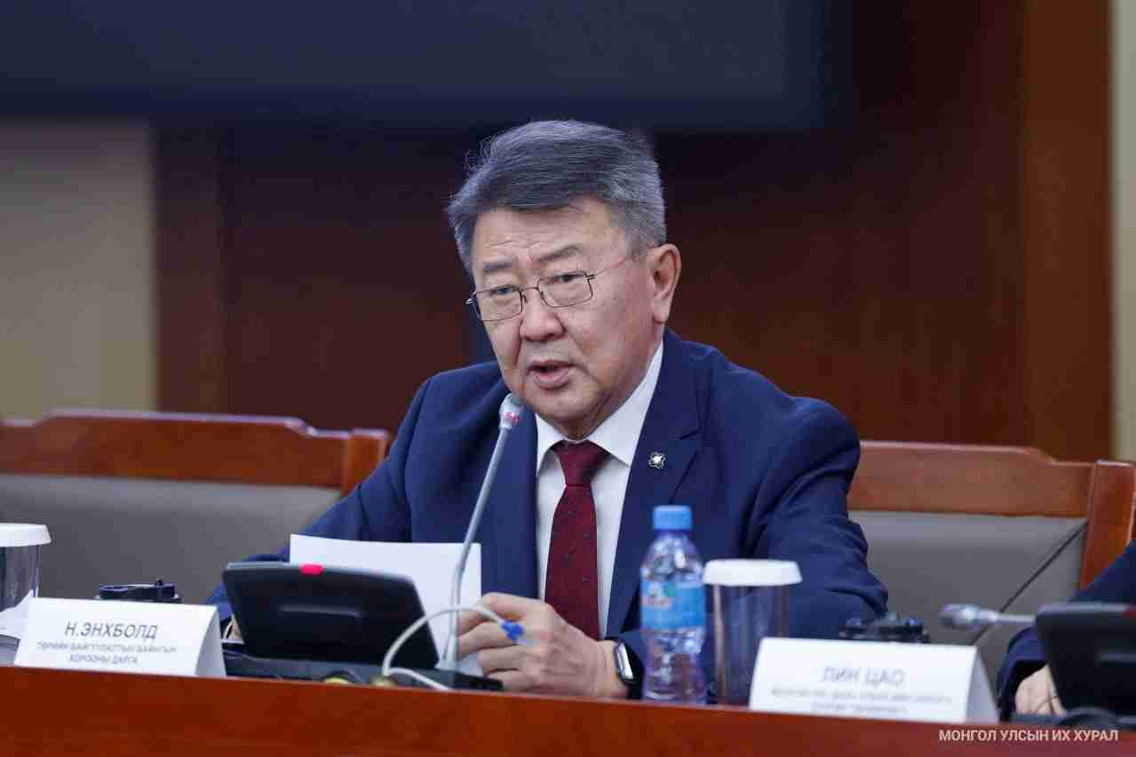 Н.Энхболд: Урьдчилсан судалгаанаас харахад дараагийн УИХ-д 20-24 эмэгтэй сонгогдох боломж байгаа...