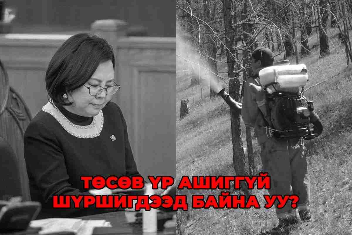 Төсвийн мөнгө үр ашиггүй шүршигдээд байна уу? Сайд аа