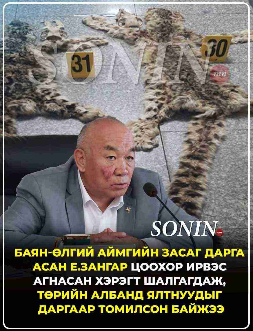 Баян-Өлгий аймгийн Засаг дарга асан Е.Зангар цоохор ирвэс агнасан хэрэгт шалгагдаж, төрийн албанд яллагдагчийг даргаар томилсон байжээ